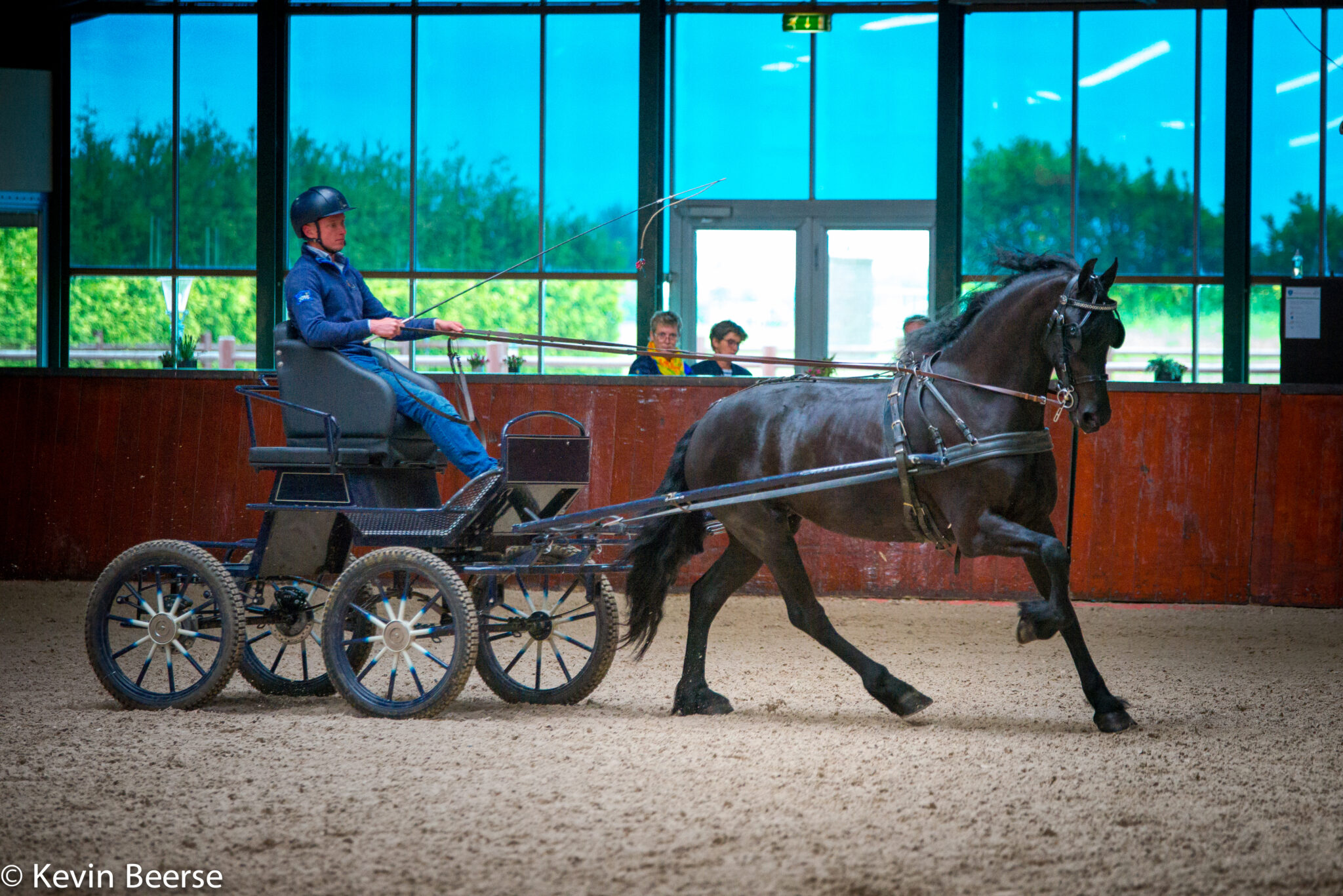 Friesian Horses – WB Stables